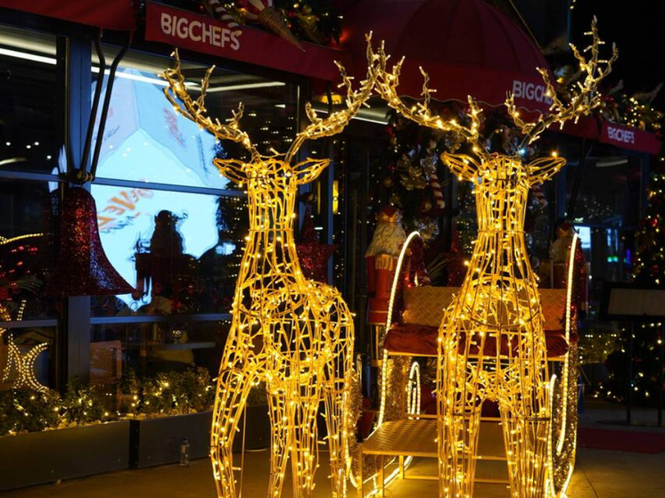 Новый год в Турции – не самый любимый и главный праздник