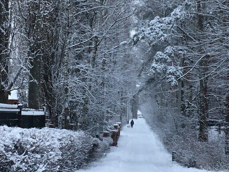 Метель и мокрый снег пронесутся по Воронежской области 3 января