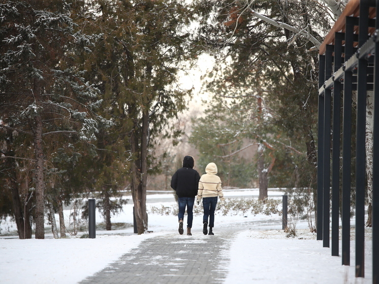 В Волгоградскую область придут штормовой ветер и сильный снег