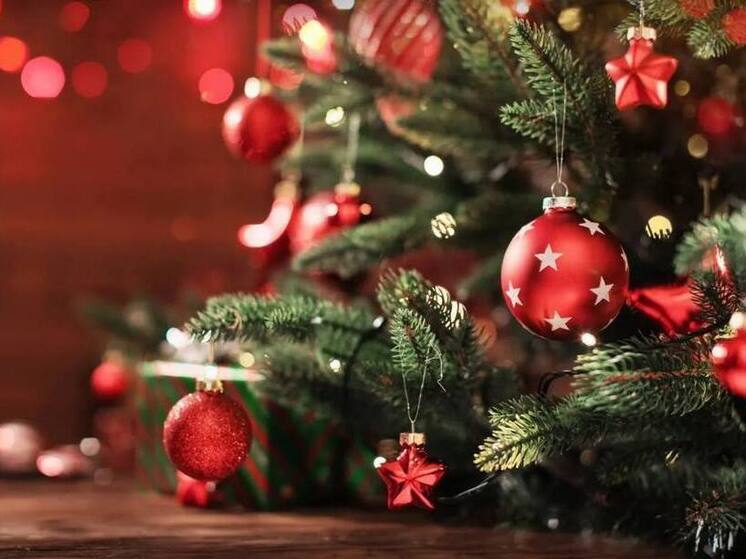 Ямальский омбудсмен исполнил мечту ребенка из Волновахи в рамках «Елки Желаний»