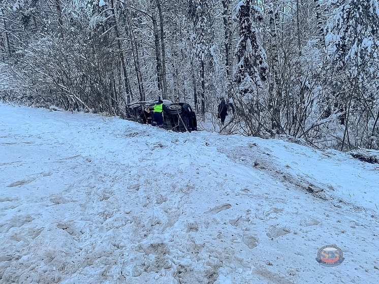 Во Владимирской области в аварии пострадали двухлетний малыш и женщина