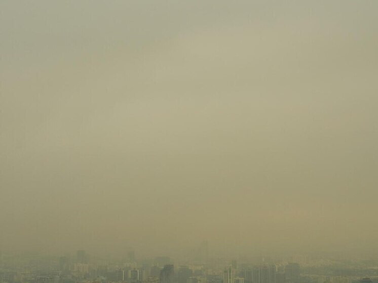 В Южно-Сахалинске на 4 января объявлен режим неблагоприятных метеоусловий