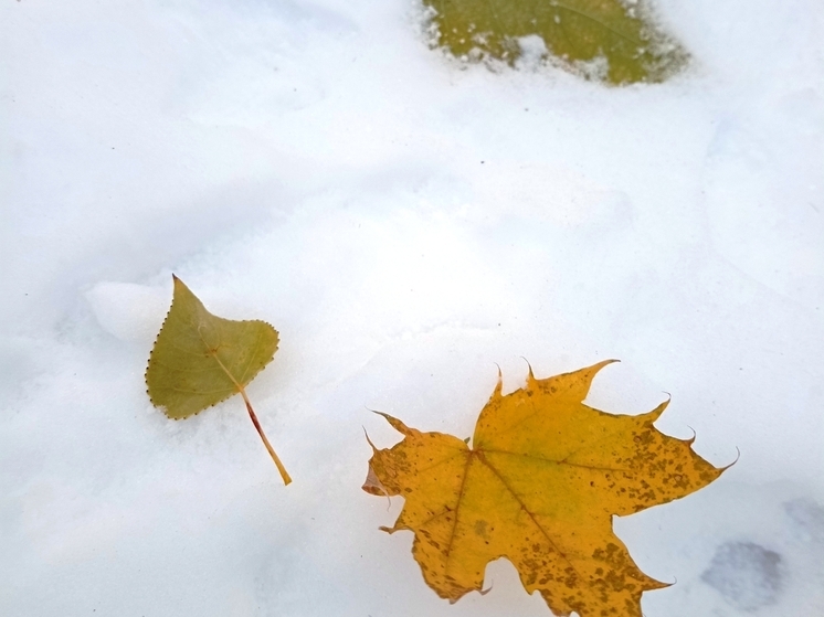 Сила магнитной бури 4 января составит 4 балла: день подходит для любого общения