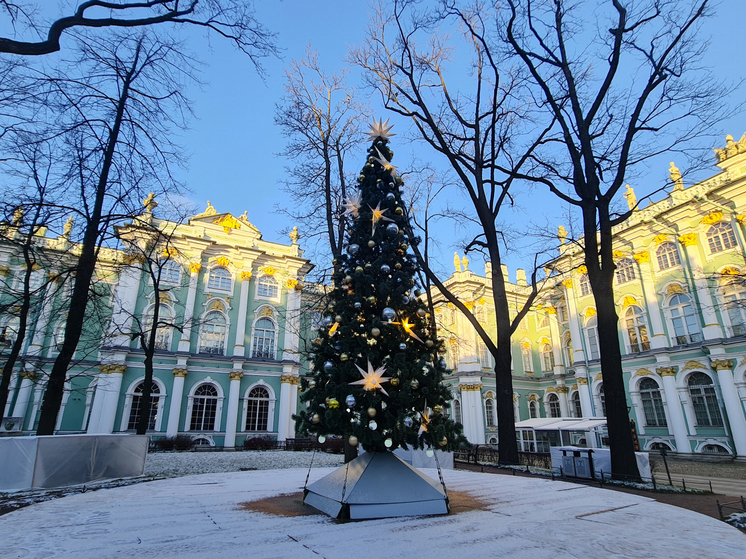 Новосибирцы смогут посетить Эрмитаж бесплатно 7 января
