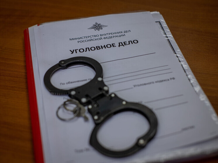 Владимирский суд во время праздников рассмотрел апелляции адвокатов Наумова и Друговых