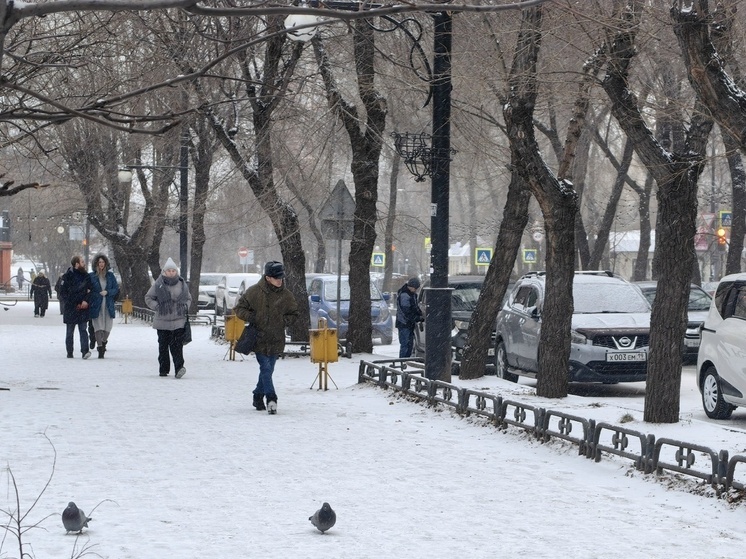 Эксперт Гришкина: прогулки на свежем морозном воздухе укрепляют иммунитет