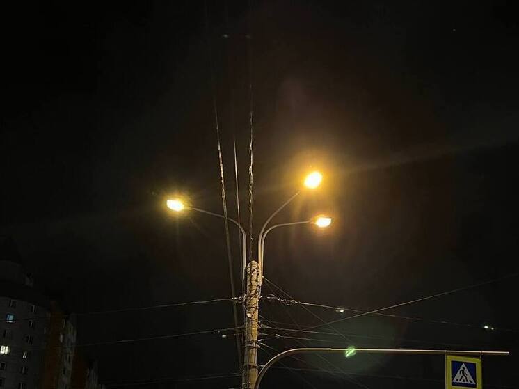 Порывистый ветер привел к отключению фонарей на нескольких улицах Новгорода