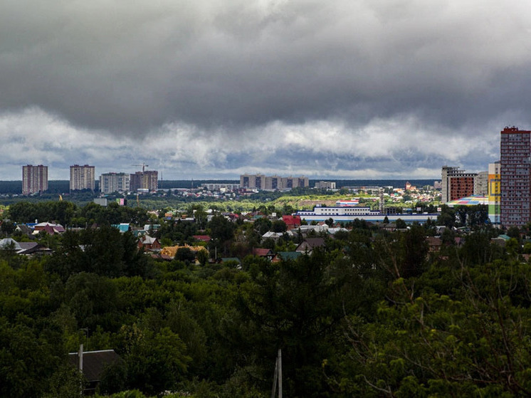 Новый 25-метровый бассейн с тренажёрным залом построят в Коченево