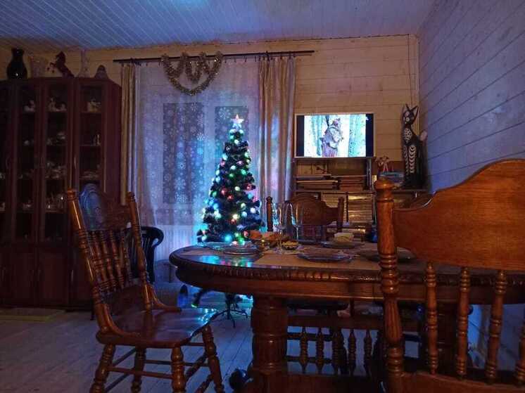 Ленинградцы смогут подарить своим елкам новую жизнь 17 и 18 января