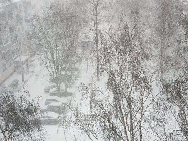 Мокрый снег, ветер и температурные «качели»: каким будет начало января в Пензенской области