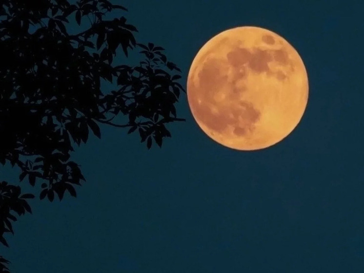 Суперлуние в Раке 3 января: к чему готовится псковичам в "Волчью луну"
