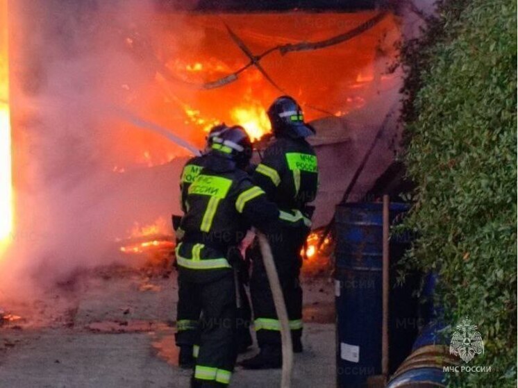 За сутки в Херсонской области в результате пожаров погибли два человека