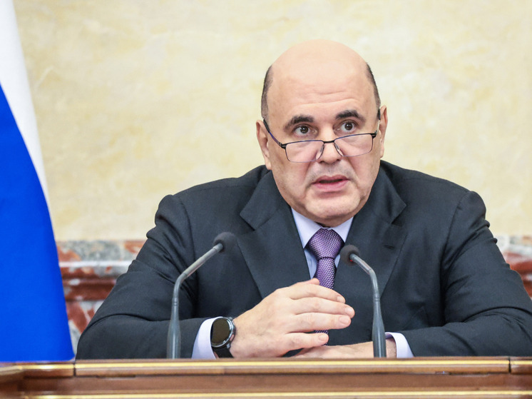 Мишустин поручил усилить ответственность в борьбе с мошенниками