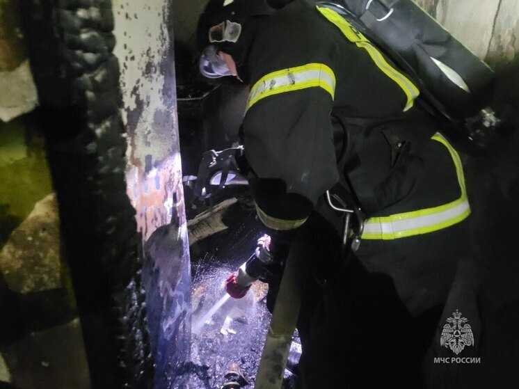 За минувшие сутки в Красноярском крае ликвидировали 17 пожаров, один человек погиб