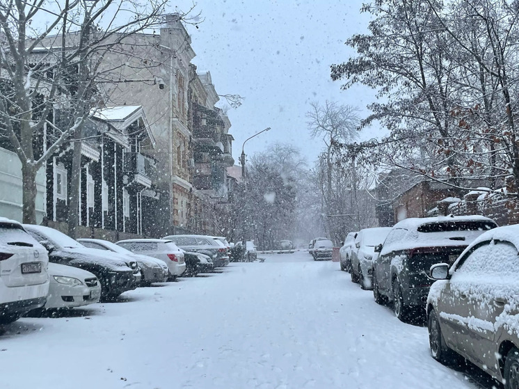 Сильный ветер и снег: В Ростовской области объявили штормовое предупреждение