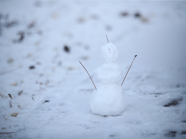 Волгоградцам раскрыли ошибки при оказании первой помощи во время холодов