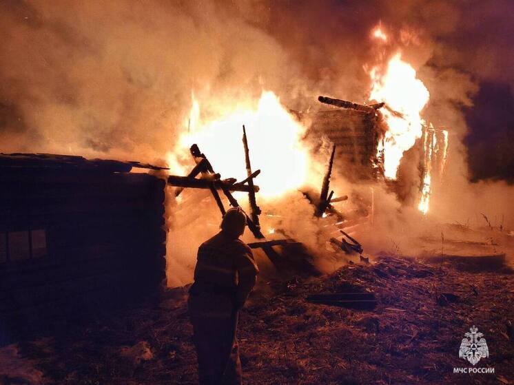 Пожарные спасли от полного уничтожения хозяйственную постройку в Демянске