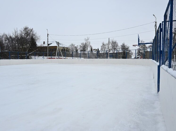 В Липецкой области открылся новый каток для всей семьи