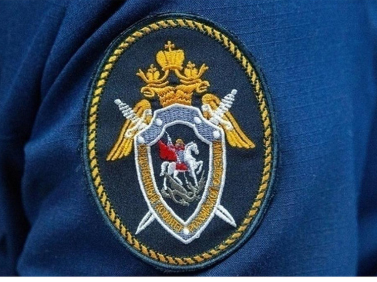 Глава СК РФ взял на контроль ситуацию с некачественной водой в новосибирском селе