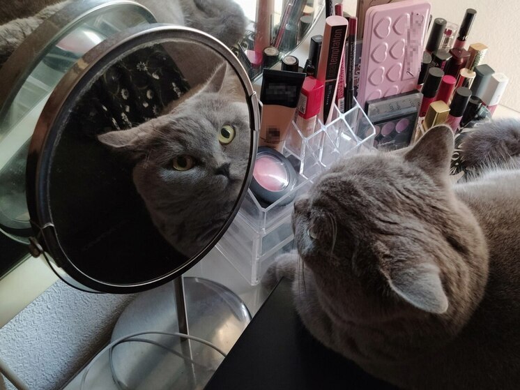 У мужчин и женщин отличается толщина, плотность, чувствительность и другие факторы кожи