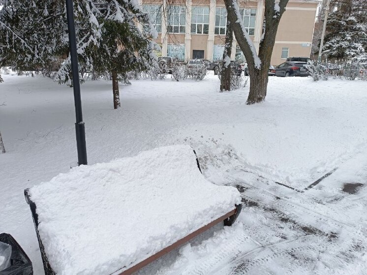 Жителей Пензенской области предупреждают о сильном ветре и мокром снеге 4 января