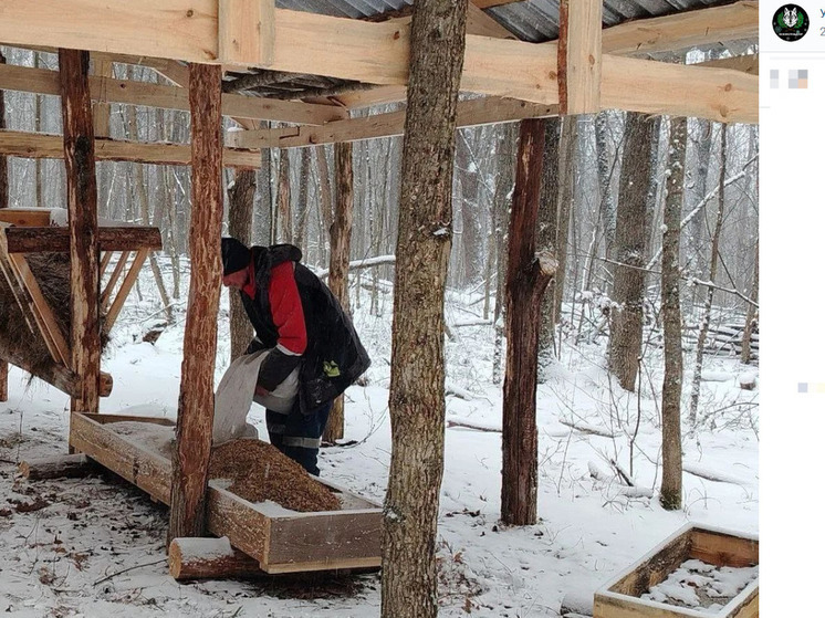 В Белгородской области пополнили кормами «лесные столовые» в заказнике «Мандровский»