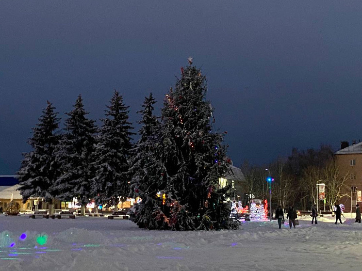 Липчанам помогают правильно утилизировать елки и помочь экологии