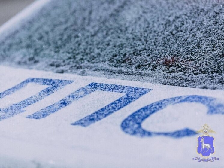 На дорогах Самарской области временно ограничили движение из-за метели 3 января