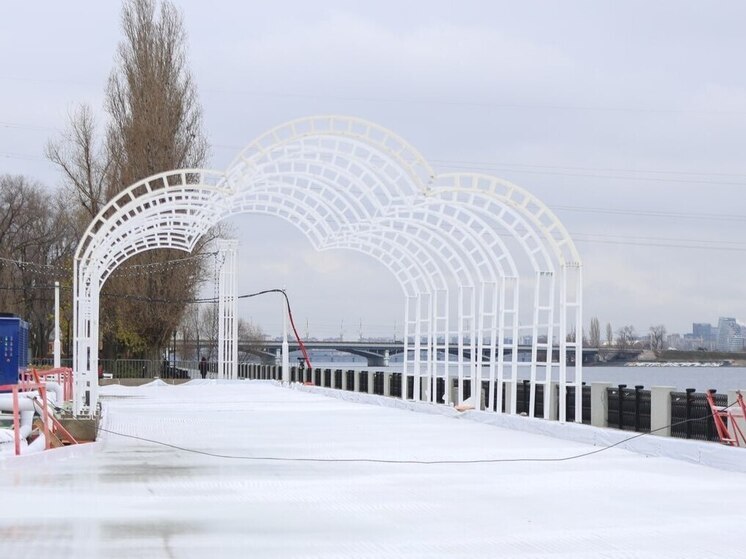 Каток на Адмиралтейской площади в Воронеже из-за непогоды закрыт