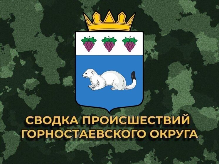 За минувшие двое суток ВСУ 62 раза обстреляли Горностаевский округ