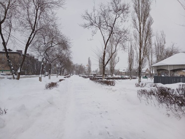 Мягкая новогодняя погода в Оренбуржье сменится метелью и дождём со снегом