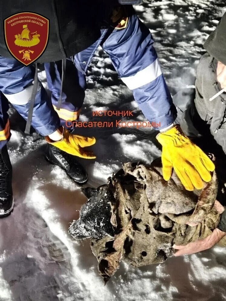 Костромская доброта: в Шарье прохожие спасли тонущую собаку