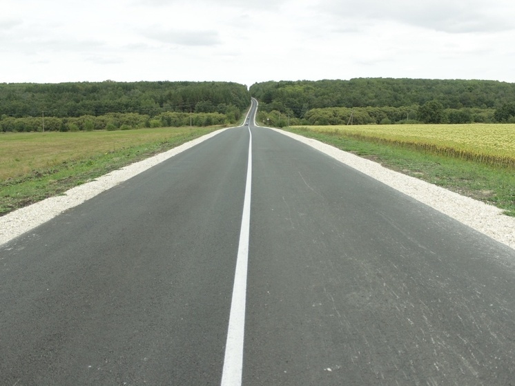 В Каменском районе в 2026 году продолжат ремонт дороги Каменка – Дмитриевка – М-5 «Урал»