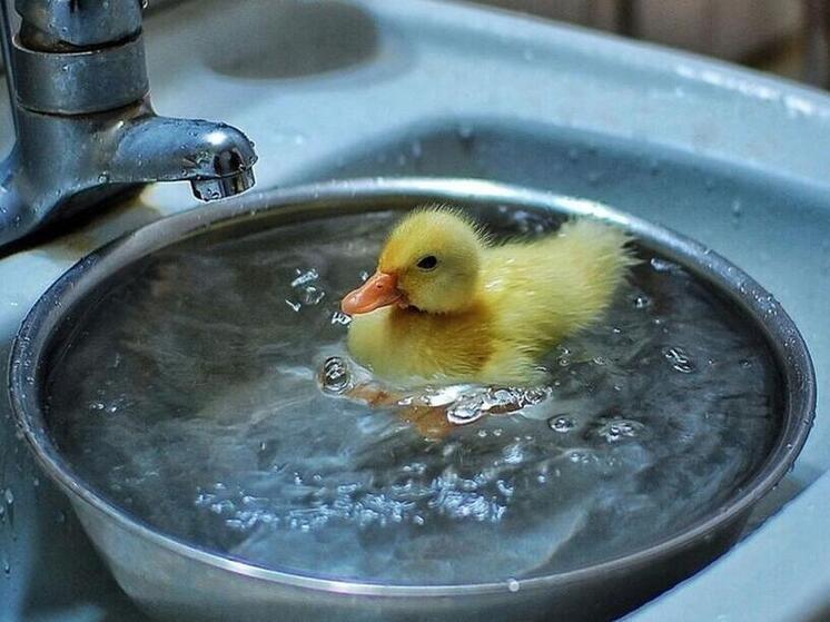 Народные поверья на 3 января: что нельзя делать, чтобы не навлечь беду