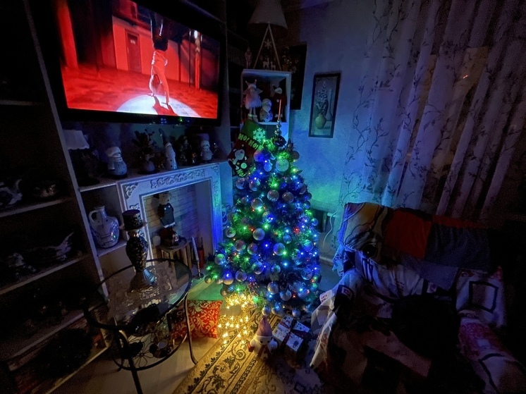 Петербуржцам рассказали о взломе новогодней елки