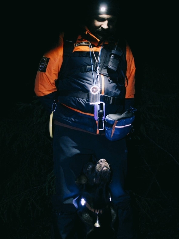 В Ярославской области собака-спасатель нашла замерзавшую пенсионерку