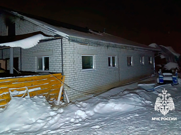 В Вологодской области из загоревшейся конюшни спасено 12 лошадей