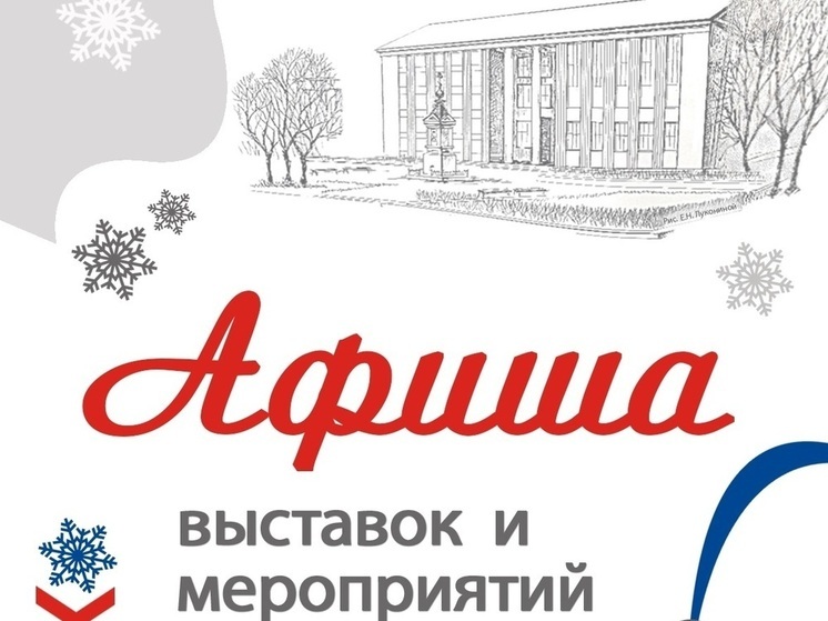 В Иванове стартует проект «НовогодниеКаникулысНаучкой»