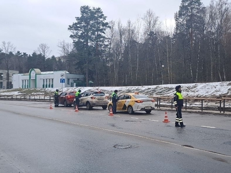 Госавтоинспекция Серпухова усилила контроль за детскими креслами