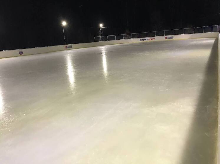 В Рыбинске торжественно откроют ледовый корт