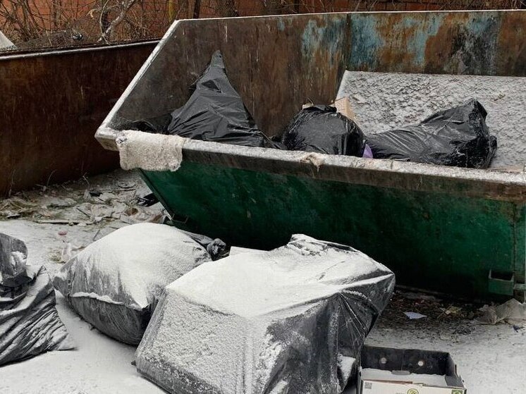 Жителям Заречного рассказали, как и когда будут вывозить мусор в новогодние выходные