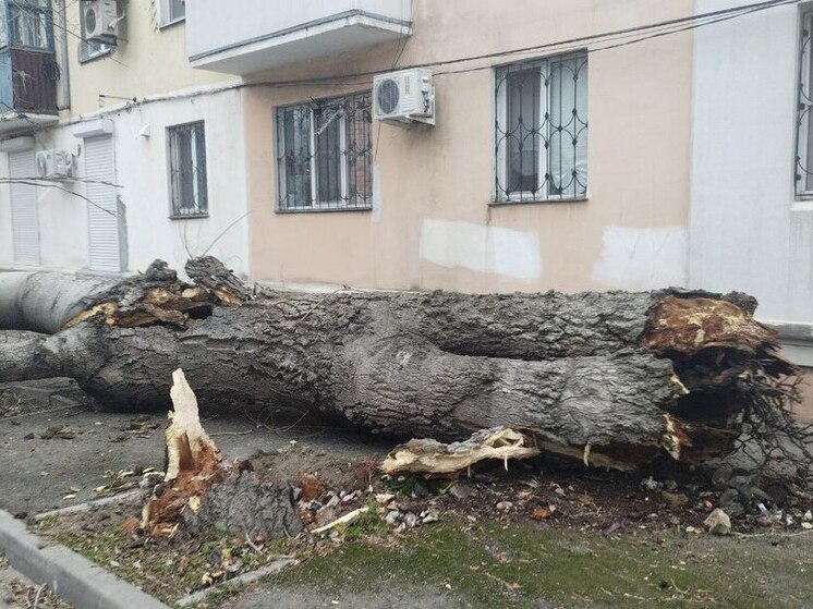 В Феодосии устраняют последствия сильного ветра