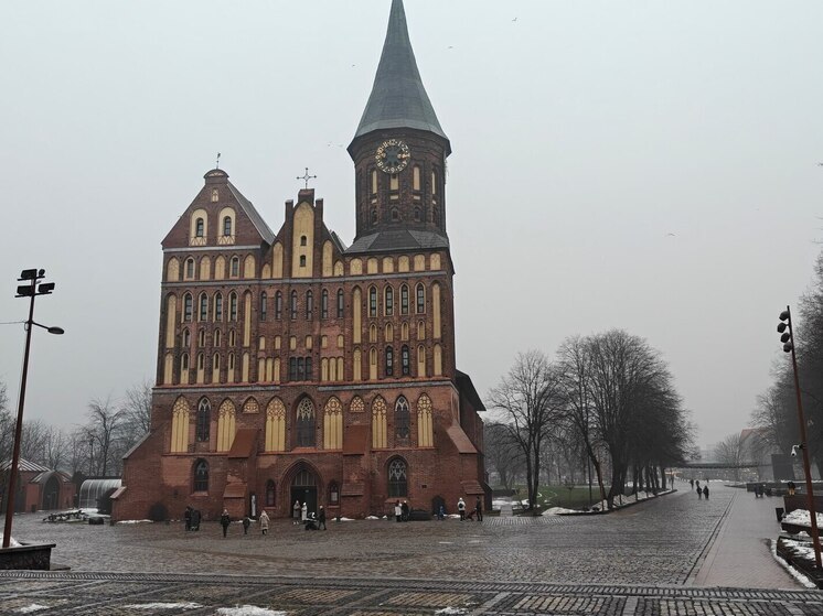 Калининград привлек больше соотечественников, чем иностранных туристов