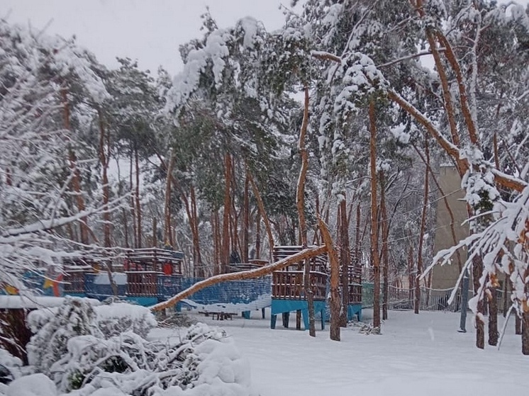 В два часа дня 3 января в Воронеже завыли сирены