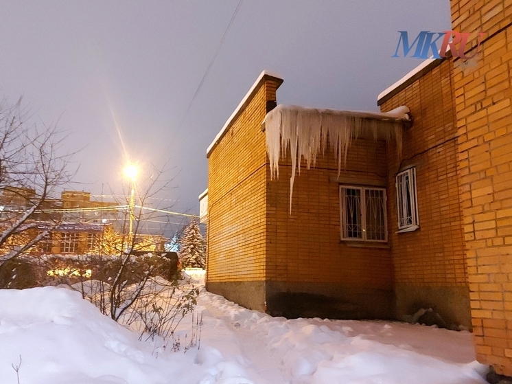 В Калужской области ищут убежавшего в новогоднюю ночь Конора