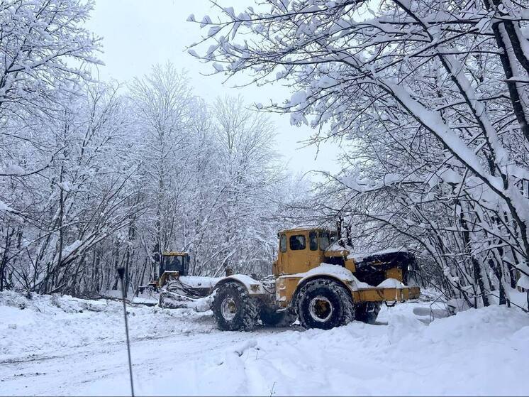 Глава Облминтранса: Автозимник в нацпарке «Самарская Лука» пока небезопасен