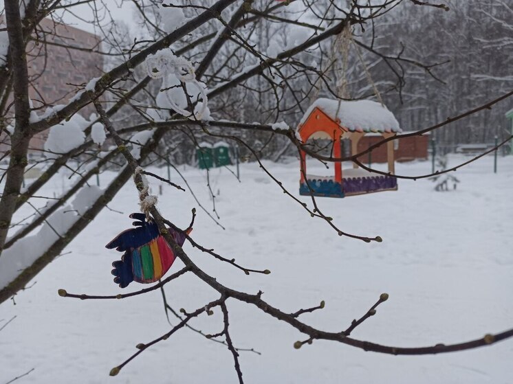 Во Владимирской области резко потеплеет