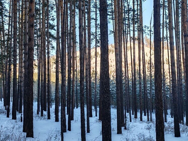 В Улан-Удэ 4 января будет относительно тепло
