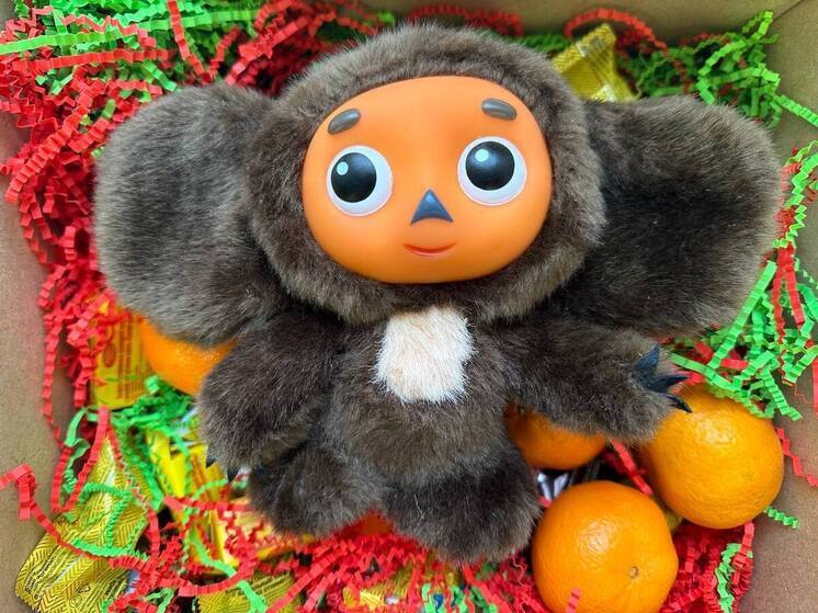 Калининградская полиция пришла с подарками в приют для детей и подростков