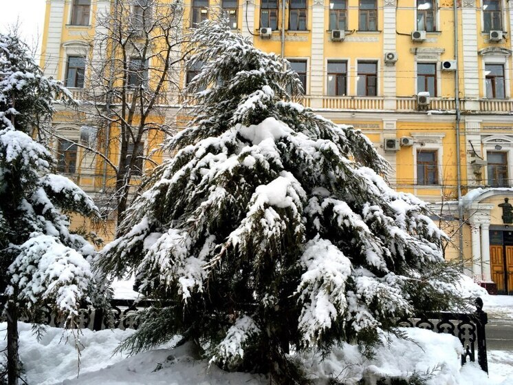 Ветер 24 м/с: МЧС предупреждает саратовцев об ухудшении погоды